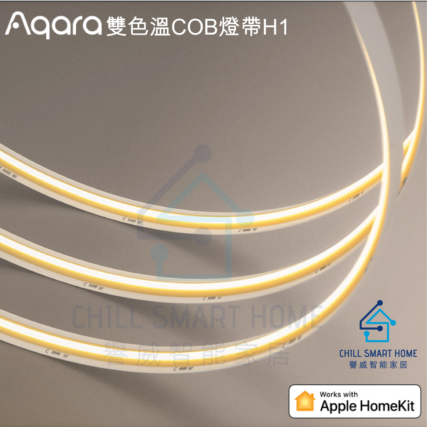 Aqara 雙色溫COB燈帶H1(5米)[平行進口]
